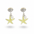 Shell Stud Earrings
